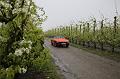 MG Bloesemrit op 24-4-2016 org. Jos&Marie-lou  (102)